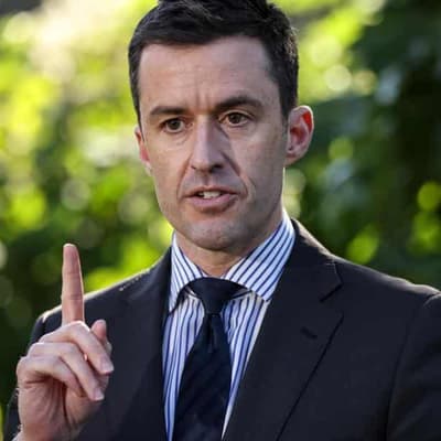 Senior Lib resigns as MPs thrash out legal cost plan