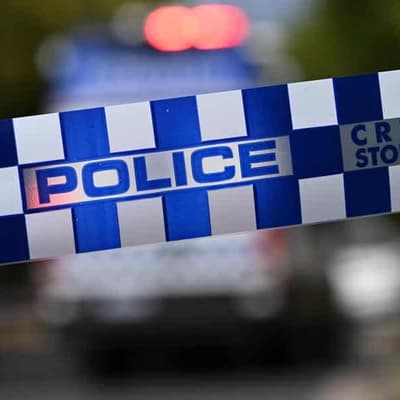 Hurt boy abandoned, dog tasered after stolen car crash