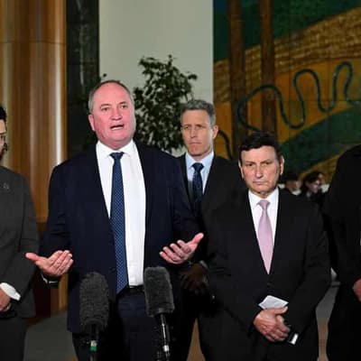 Australian MPs to push for end to US pursuit of Assange