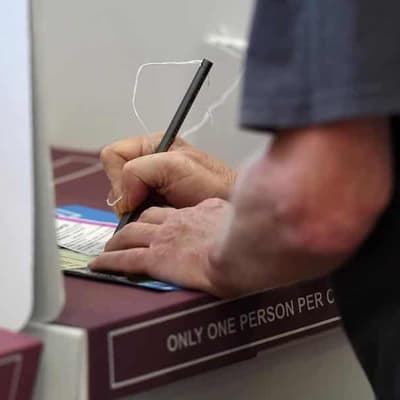 Posts tick all the boxes for voice voting misinformation