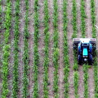 Sweet deal for sugar exporters as UK drops tariffs