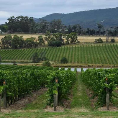 Spotlight on latest Australian agriculture technology