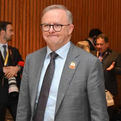 World stability at 'critical juncture', PM tells G20