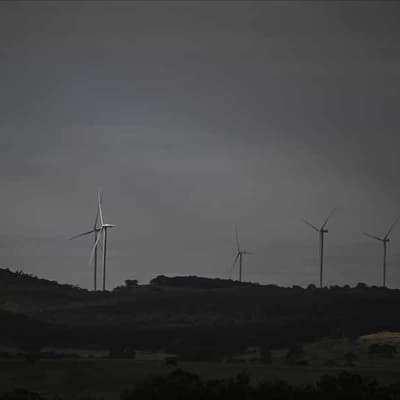 Switch to renewables 'messed up' despite clean ambition