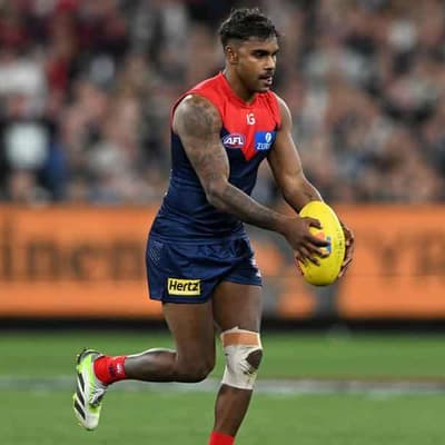 Demons' Pickett cops one-match ban for Cripps bump