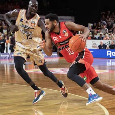 NBL star Webster in trouble for rainbow flag tweet