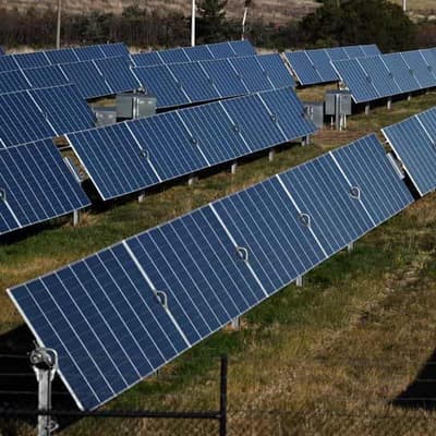 Call to bring forward net-zero to future-proof economy