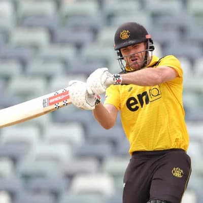 Turner blast helps WA down SA in domestic one-dayer