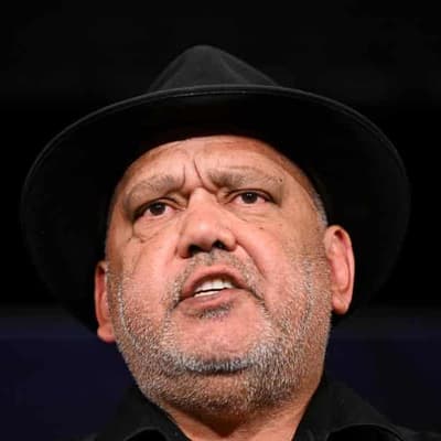 Indigenous voice is 'not about race': Noel Pearson