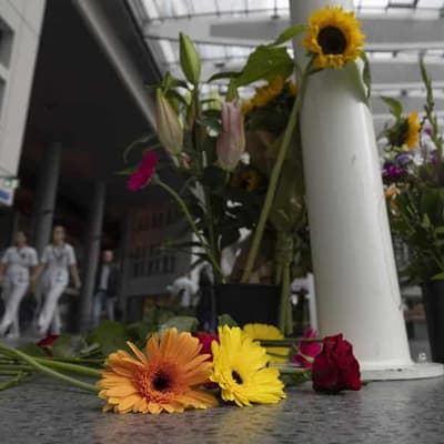 Student gunman kills three in Dutch university shooting