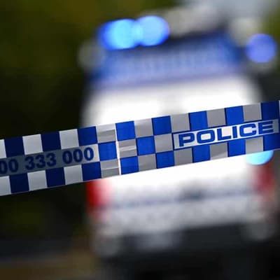 Man allegedly killed mother, cat while on bail