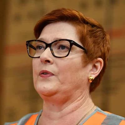 Internal Liberal brawl beckons over free Senate spot