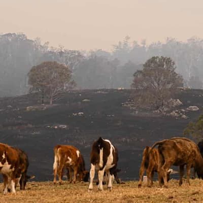 Brief reprieve for fire crews ahead of hot, dry weather