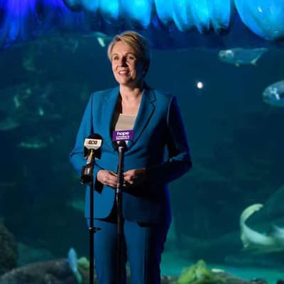 Court dismisses climate case against Plibersek