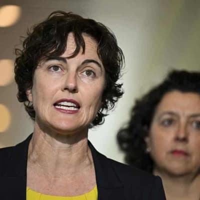 Independent MP pushes for action on robodebt repairs