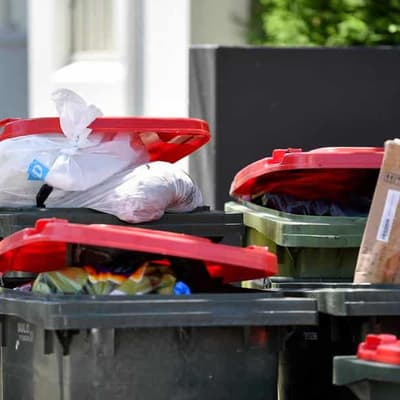 Lurking local council referendum bill is old rubbish