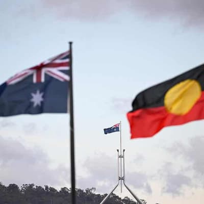 Government won't rush next steps after voice