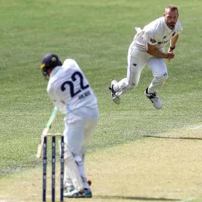 McAndrew, McSweeney star as SA belt NSW in Shield