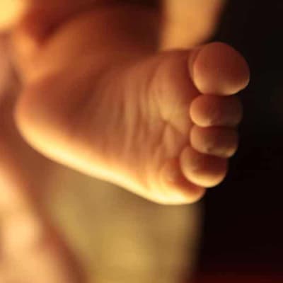 Families to get six months of paid parental leave