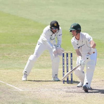 Tasmania hold on for draw against Western Australia