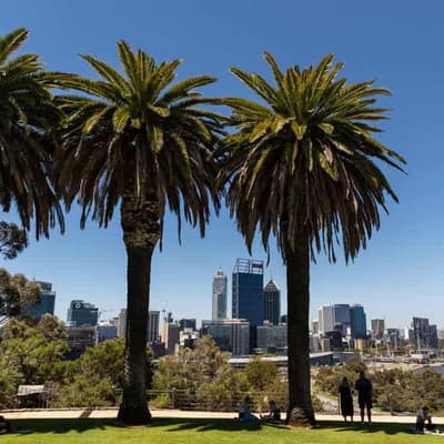 Arson investigated as bushfire burns in Kings Park