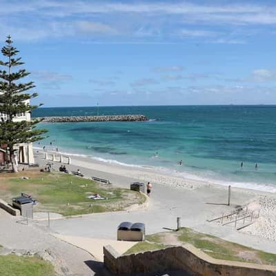 Shark fishing banned from Perth's metropolitan beaches
