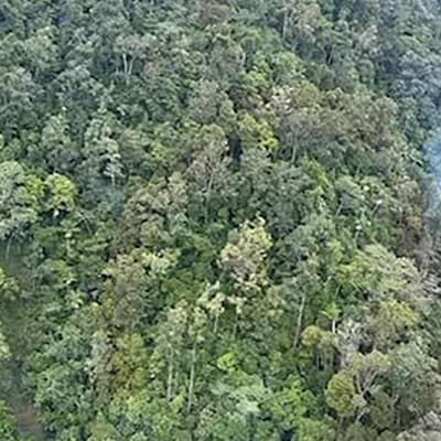 Plane crashes into mountain, killing two grandparents