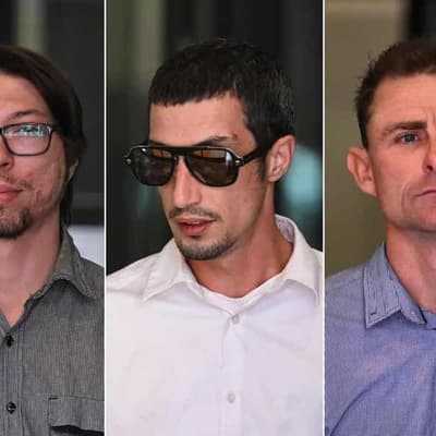 Ex-premier's action cited to defend alleged Nazi salute