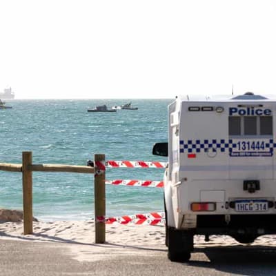 Surfer dies after shark attack off SA coast