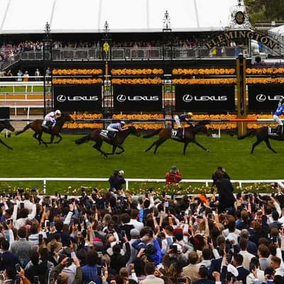 Mullins eyes more Irish Melbourne Cup success