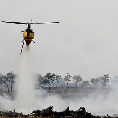 More relief on way for bushfire-hit Queensland