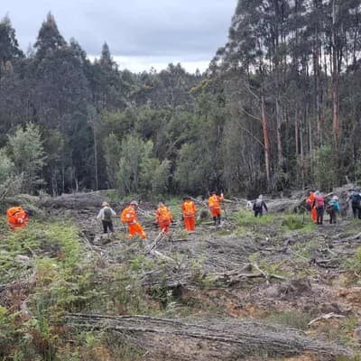 Renewed searches in missing bushwalker case