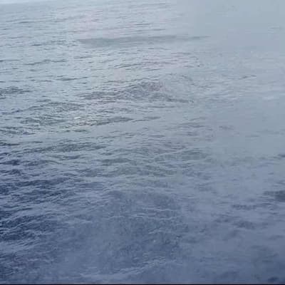 Two men rescued after plane crash off Queensland coast