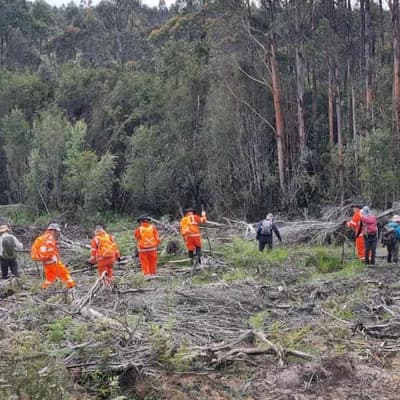 Renewed search for missing hiker fails to find clues