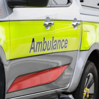 Woman dies after tree falls on her in wild storms