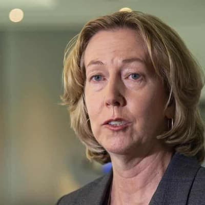 Woodside boss still concerned about climate activists