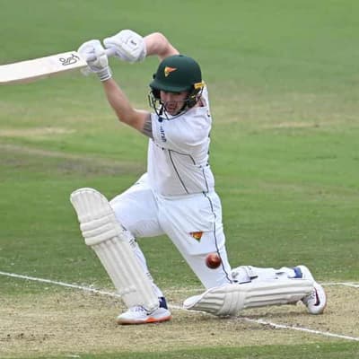 Three Tasmanian Shield centurions put NSW on the ropes