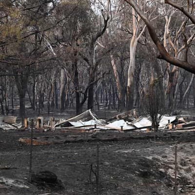 Rain set to assist as bushfires continue to burn