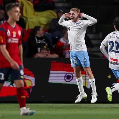 Shackles off Sydney FC ahead of Wanderers ALM derby