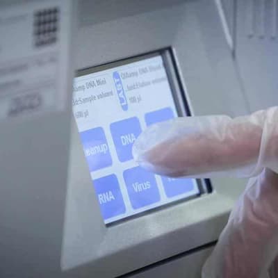 Murder accused granted bail due to DNA testing delays
