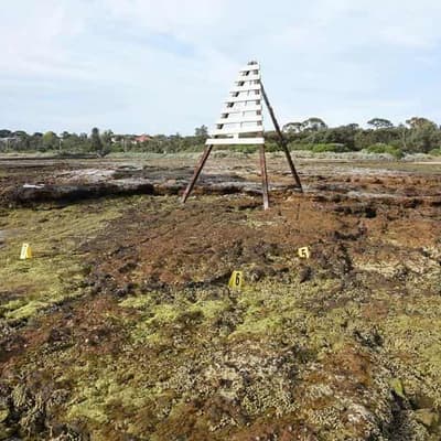 Human bones found at marine park still not identified