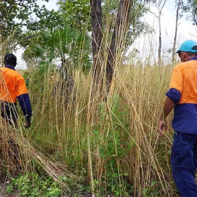 First Nations wisdom harnessed to protect environment