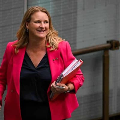 Parliament to consider citizenship stripping powers