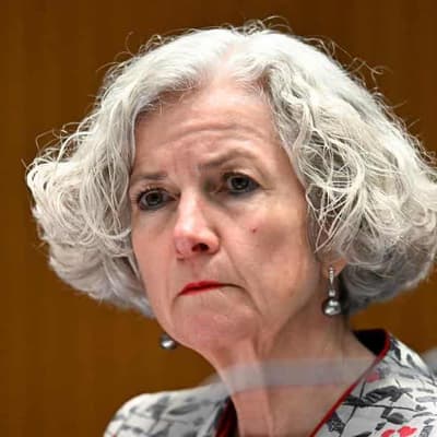 New Home Affairs head appointed after Pezzullo sacking