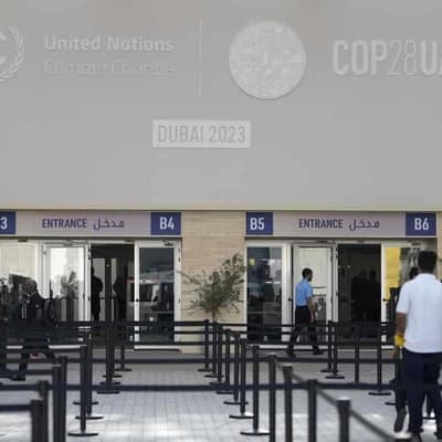 Australian CEOs chart decarbonisation path for peers