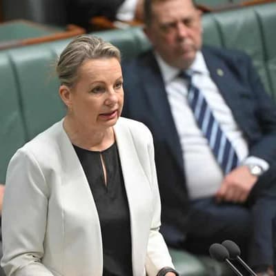 Domestic violence victims remembered as MPs urge action