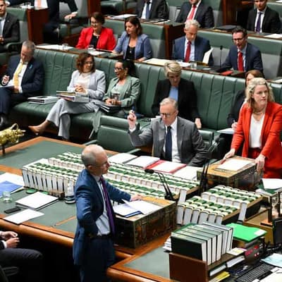 Bans on Nazi symbols and salute pass lower house