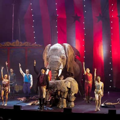 Roll up, roll up, the circus is back in town